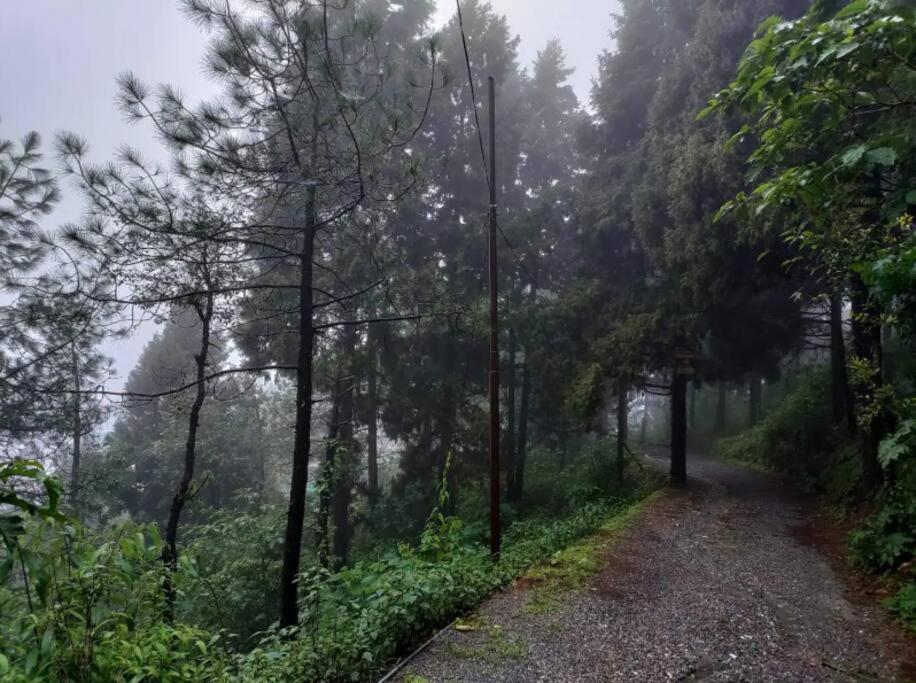 The Hill Story, Entire Chalet, Offbeat,Cozy Mussoorie Exterior photo