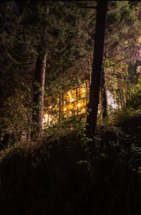The Hill Story, Entire Chalet, Offbeat,Cozy Mussoorie Exterior photo