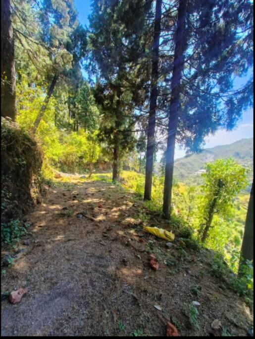 The Hill Story, Entire Chalet, Offbeat,Cozy Mussoorie Exterior photo